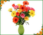 Anniversary Gifts for Flowers