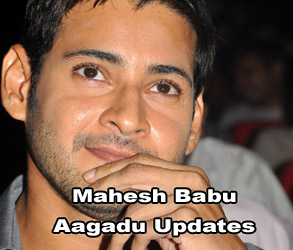 Mahesh Babu Aagadu Updates