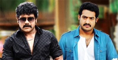 nag%20ntr%20movie-02.jpg