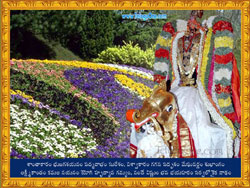 Lord Venkateswara Swamy Wallpapers