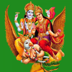 Toli Ekadasi