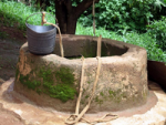 Cobra in well