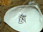 OM Shiva Pancha 11