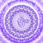 OM Shiva Pancha 7