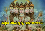 Pancha Brahma Shiva Dhyanam