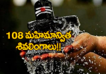 shiva 108 names