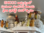 Temple Prana Prestige Festival under the auspices of SHCCC