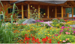 Vastu and Flower Plants