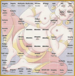 Vastu – Rented Homes