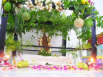 Vinayaka Pooja Benefits of Patri