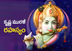 కృష్ణ  మురళీ రహస్యం