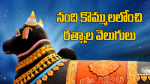 నందికొమ్ములలోంచి రత్నాల వెలుగులు