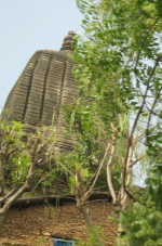 నవరాత్రులు 8వ రోజు: మంగళ గౌరి ఆలయం, గయ, బీహార్ 