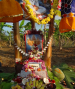 మార్గశిర శుద్ధ త్రయోదశి ... శ్రీ హనుమద్ర్వతం
