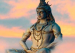 వీటి కోసం మనం ఒక్కసారైనా ఓం నమః శివాయ అని జపించాలి..!