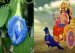 శంఖు పువ్వులు లేదా అపరాజిత పువ్వులతో పూజ చేస్తే జరిగేది ఇదే..!
