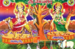 సమ్మక్క, సారాలమ్మ జాతర విశేషాలు 