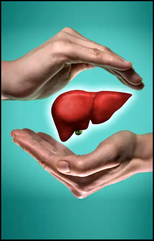 వరల్డ్ లివర్ డే...