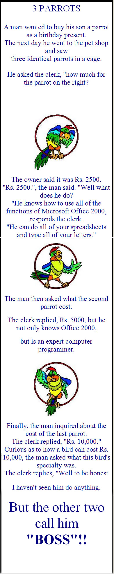 There are three parrots which are trained on computer and the owner of the shop explains. 1. The first parrot is expert in sending mails thru computer