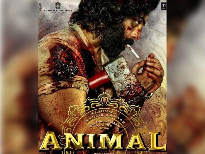 Sandeep Vanga Animal FL: Ranbir Kapoor Massy look with blood
