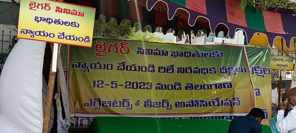 Liger Loss Issues are Back again?