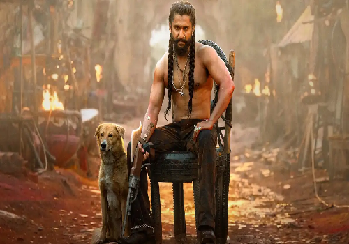 No reshoots just shoot delays for perfection - Srikanth Odela 