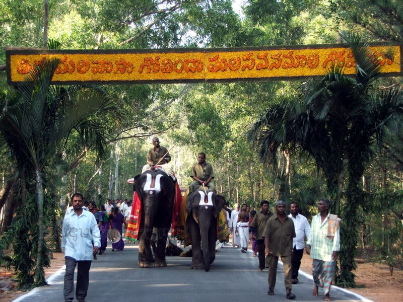paaruvetauthsavam81.jpg