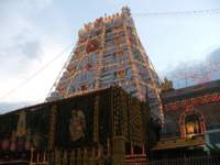 tirumalatemplenightview13_small.jpg