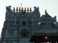tirumalatemplenightview47_small.jpg
