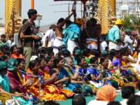 taallapaaka35_small.jpg
