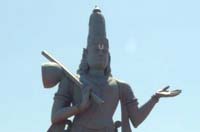 taallapaaka65_small.jpg