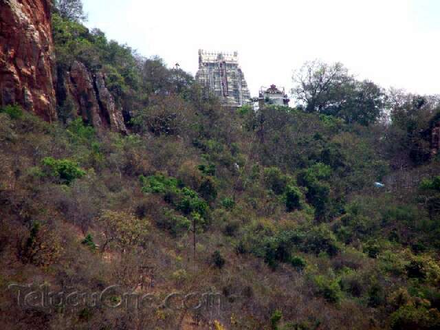 tirumahills41.jpg
