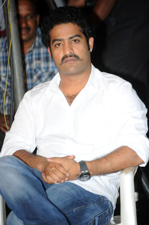 Ntr dammu, ntr dammu movie, dammu movie, dammu movie updates, dammu movie latest updates