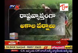 ap heavy rains, untimely rains ap, unseasonal rains ap, ap damage rains, ap rains damage, crops damage heavy rains, loss ap rains