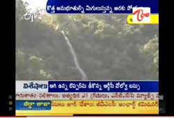 andhra ooty, arakuloya, araku valley, tourist spot araku, borra caves, araku loya, borra guhalu, visakhapatnam araku loya, kotthavalasa kirandul train, araku tunnels, araku tribal museum, coffee gardens araku