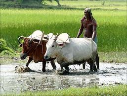  gazetted officers in ap, ap gazetted officers, ap govt jobs, Andhra Pradesh Govt Jobs