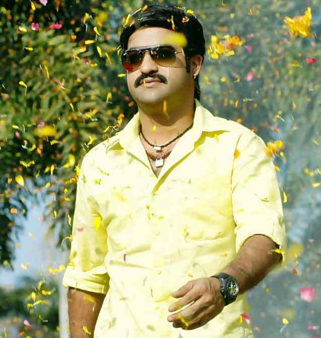 NTR Birthday, Jr.NTR Birthday Special, Jr. NTR Birthday, NTR Birthday Special Stills  