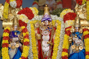 all info about Tirumala Venkateswara Koluvu, Lord Venkateswara Rituals, Rituals in   Tirumala, Lord Venkateswara Sannidhi, Tirumala Venkateswara Sevalu, Suprabhataseva   koluvu, Tirumala Temple rituals