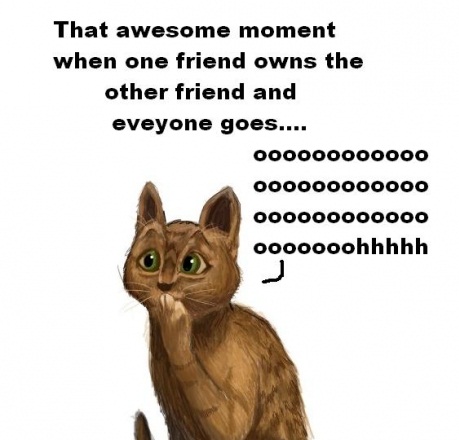 That awesome moment | cat funny jokes | that awesome moment jokes | cat  jokes | cat funny images | that awesome moment stories | cat funny pictures  | funny cat pics | amazing cat photos |